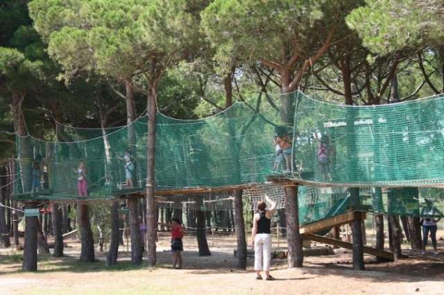  Bajo la mirada de los padres 